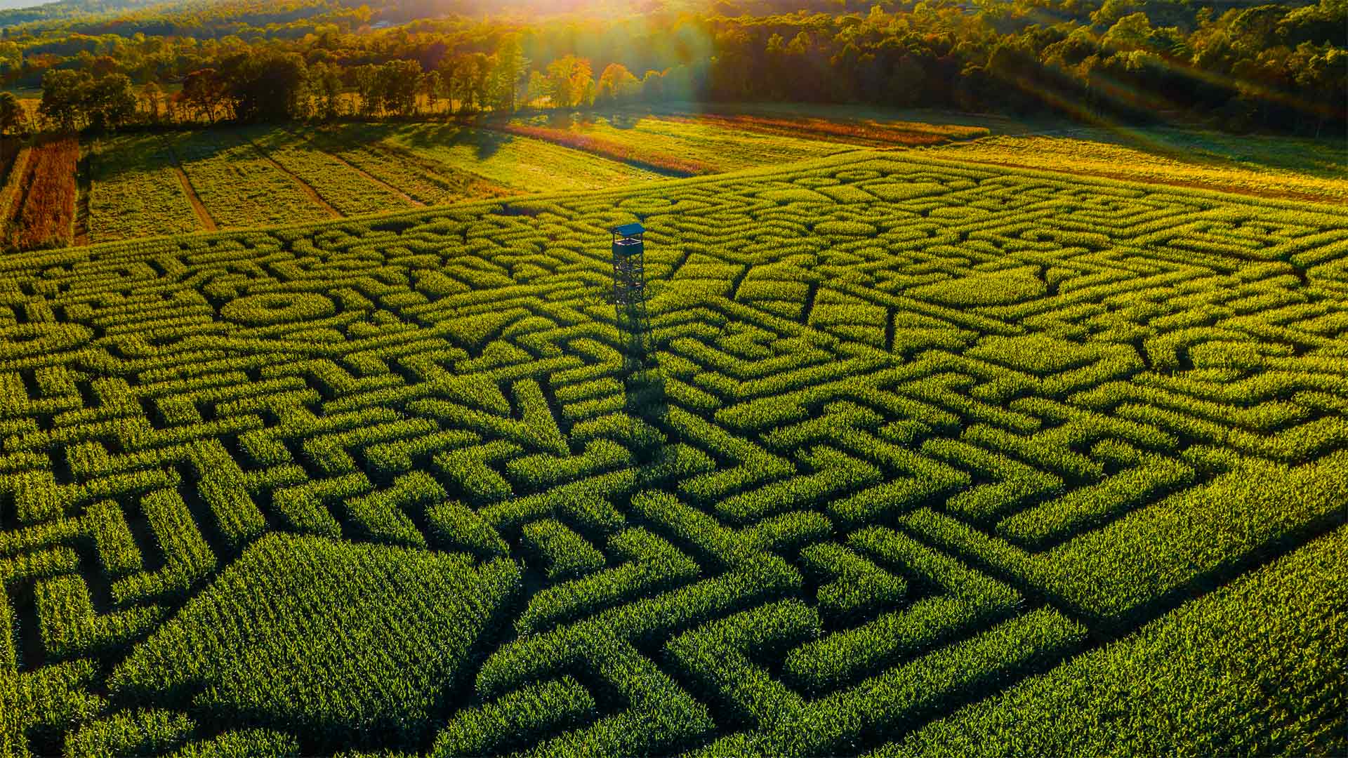 境外科普|OSA、NRA、FTN三类非居民账户全解析