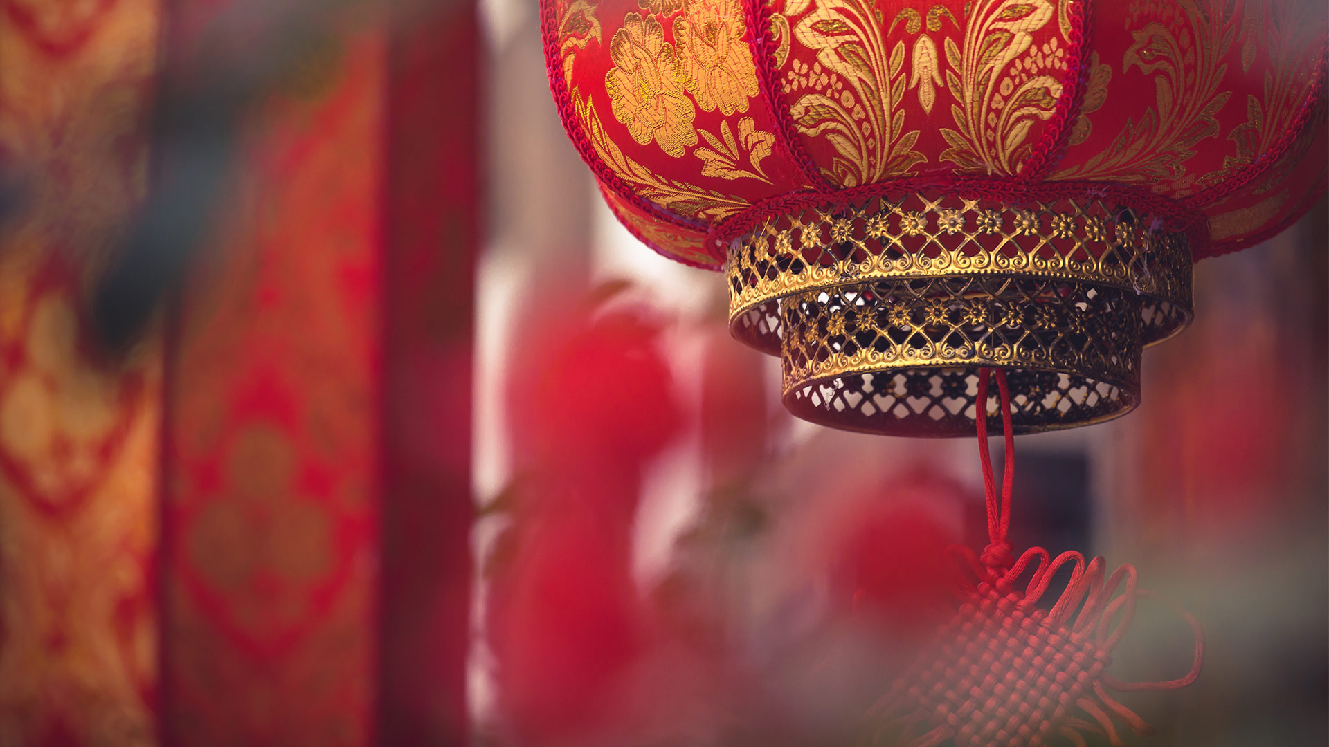 BVI公司如何避税图解：国际税务规划的务实考量