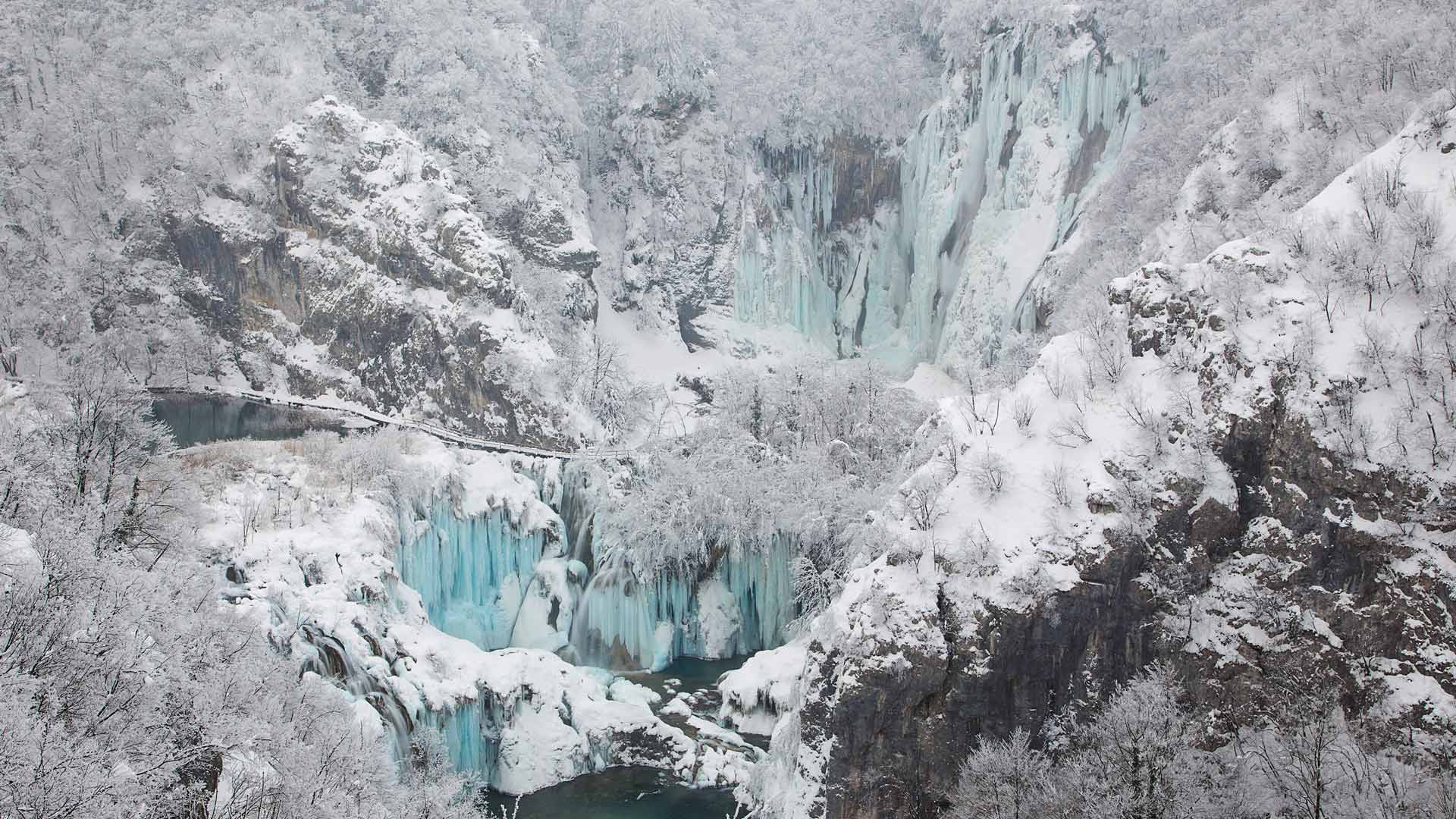 BVI公司和开曼的区别：跨境企业架构选择指南